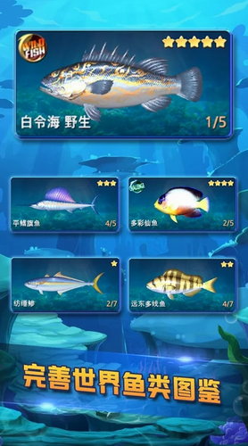 u9493u9c7cu5927u4ea8u65e0u9650u91d1u5e01u7248
