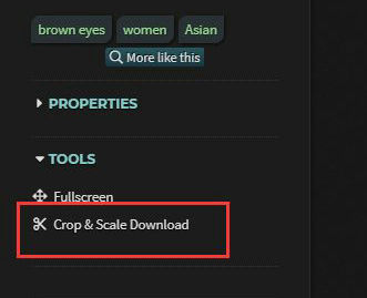 wallhaven壁纸下载详细图文步骤指南
