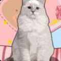 解压收纳游戏轻松玩v1.0 中文版