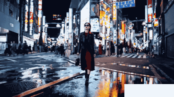 Sora模型下载安装指南