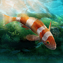 水族设计师手游设计世界v1.0.0 内购版
