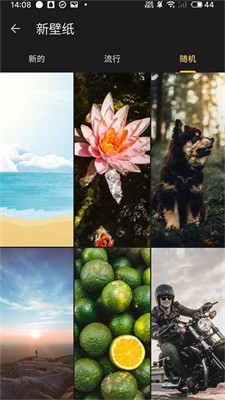 u798fu6765u591au58c1u7eb8