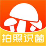 菌窝子蘑菇识别助手v3.0.0 最新版